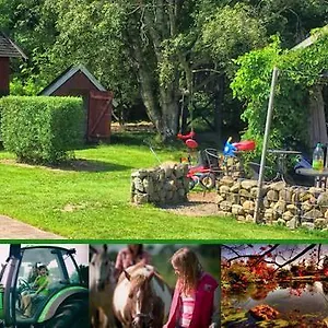 Farm stay Stutteri Skandihest, Billund